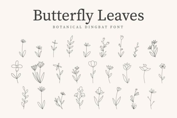 Butterfly Leaves: The Typeface That Elevates Campaign Visuals