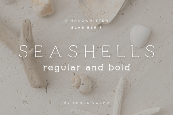 Seashells: A Slab Serif Font for Editorial Charm